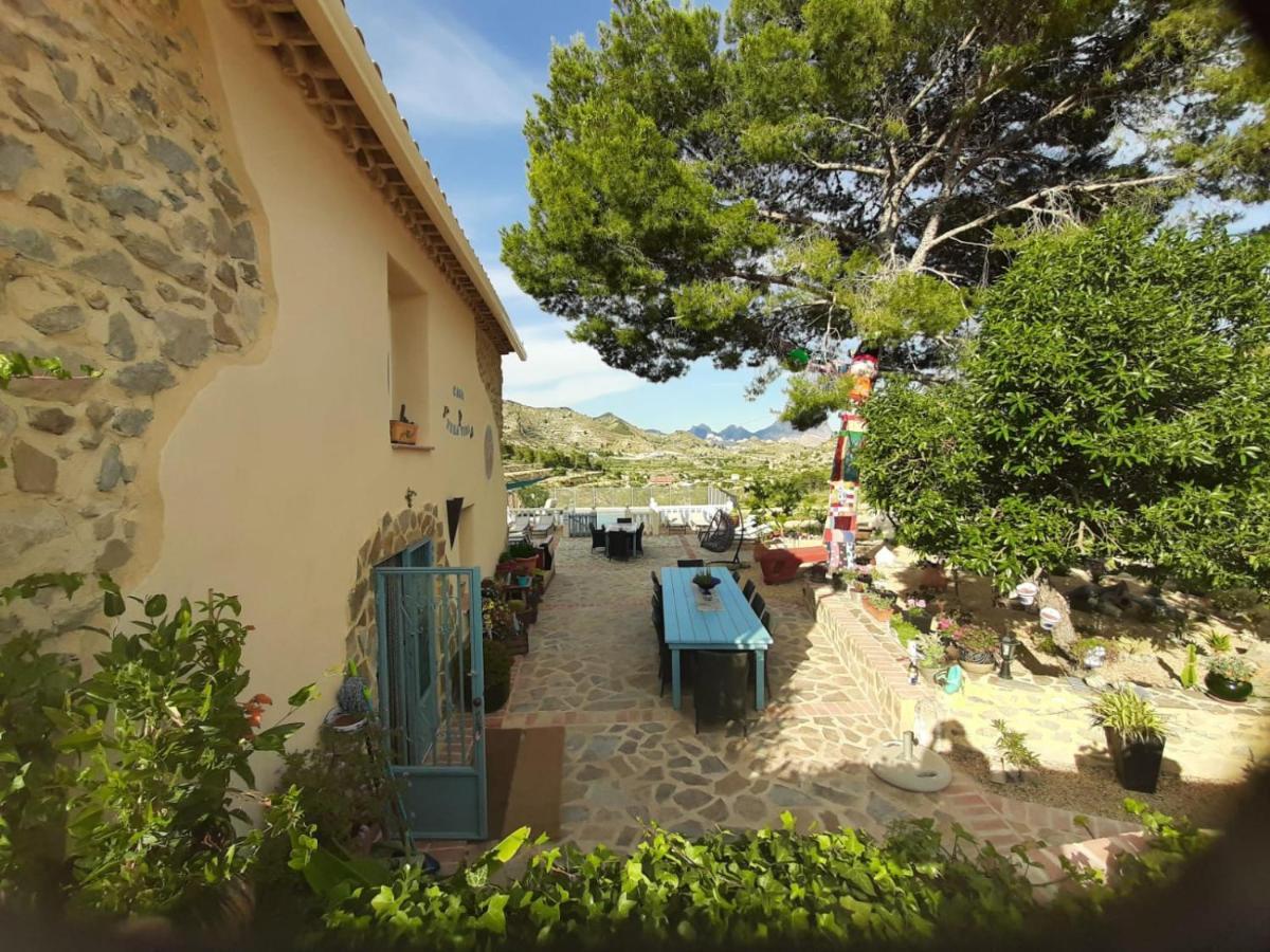 مبيت وإفطار Relleu Casa Pura Vida المظهر الخارجي الصورة