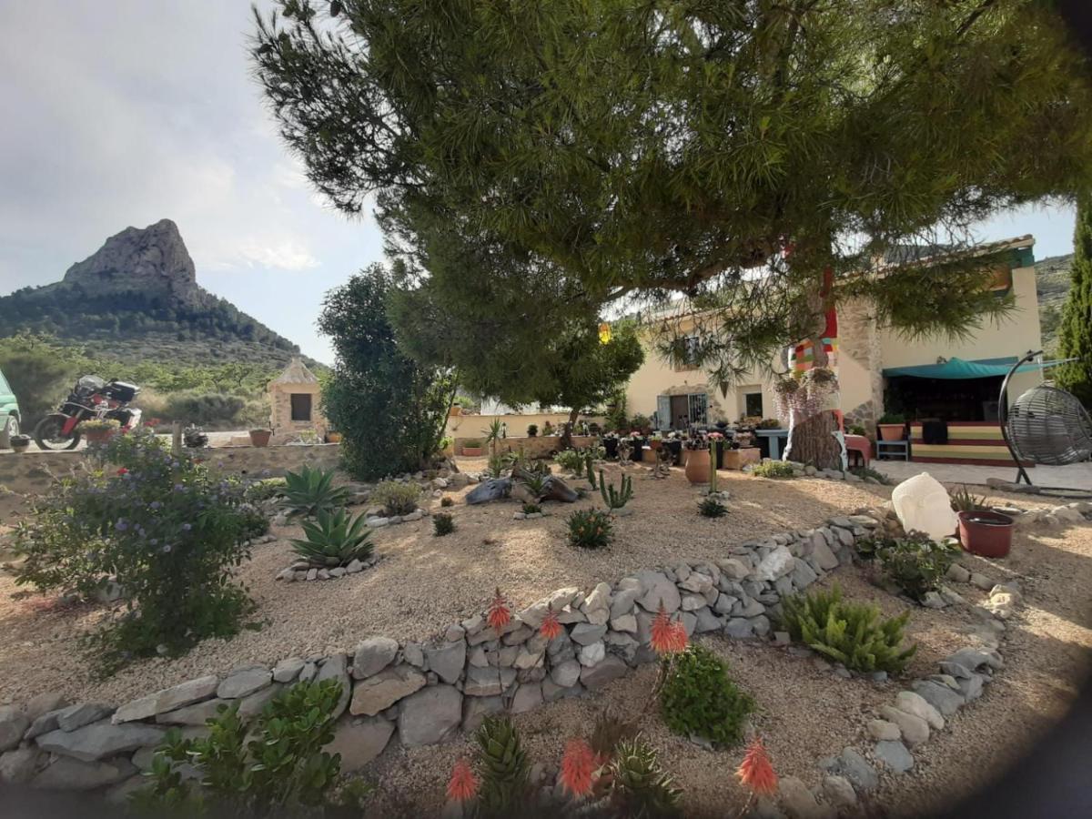 مبيت وإفطار Relleu Casa Pura Vida المظهر الخارجي الصورة