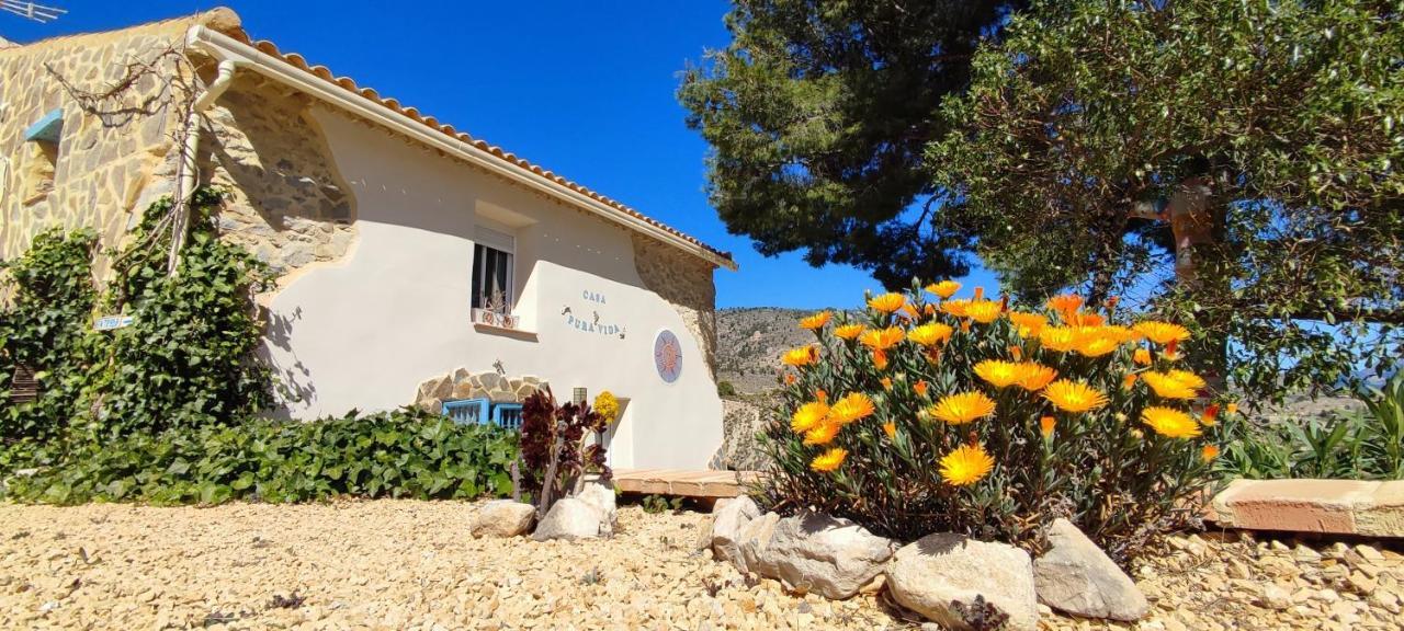 مبيت وإفطار Relleu Casa Pura Vida المظهر الخارجي الصورة