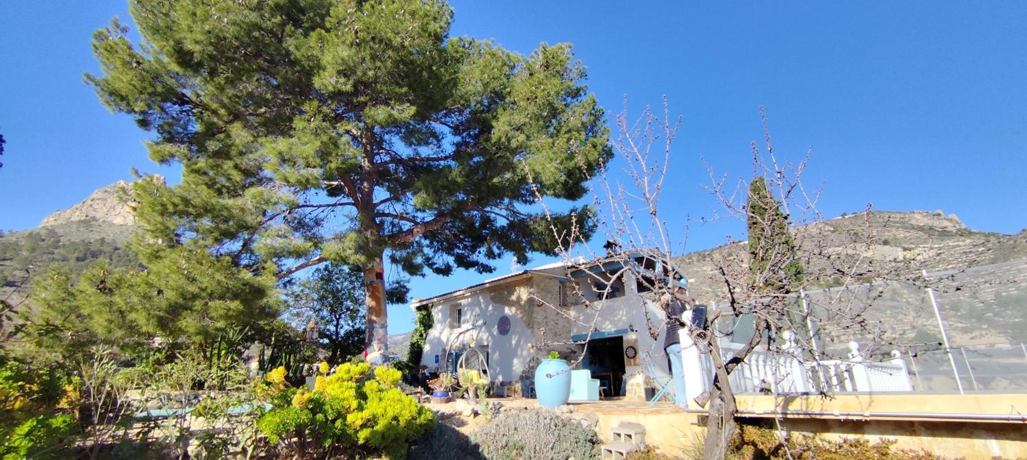 مبيت وإفطار Relleu Casa Pura Vida المظهر الخارجي الصورة